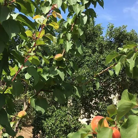 Villa Vue Sur Corse Blanca Casa A Porticcio Ajaccio Grosseto-Prugna