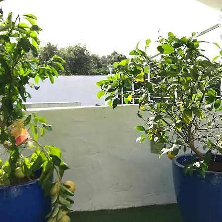 Vue Sur Corse Blanca Casa A Porticcio Ajaccio Villa *