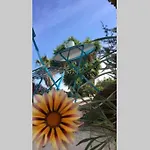 Villa Vue Sur Corse Blanca Casa A Porticcio Ajaccio Grosseto-Prugna