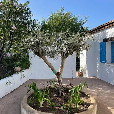 Vue Sur Corse Blanca Casa A Porticcio Ajaccio Grosseto-Prugna