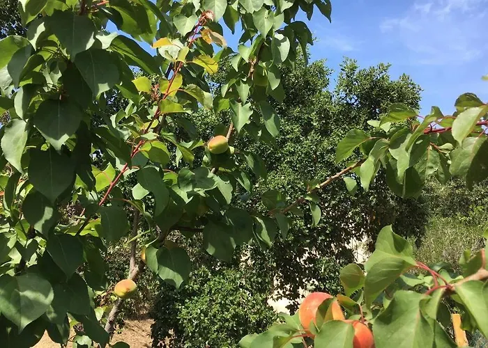 别墅 Vue Sur Corse Blanca Casa A Porticcio Ajaccio Grosseto-Prugna