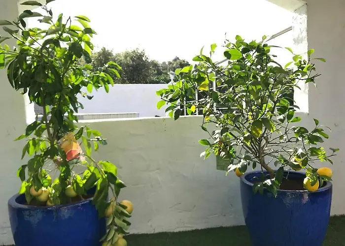 Vue Sur Corse Blanca Casa A Porticcio Ajaccio 别墅 *